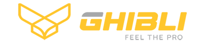 ghibli logo